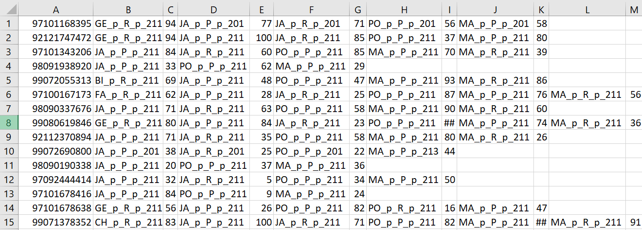 okno z widokiem na dane w programie Excel