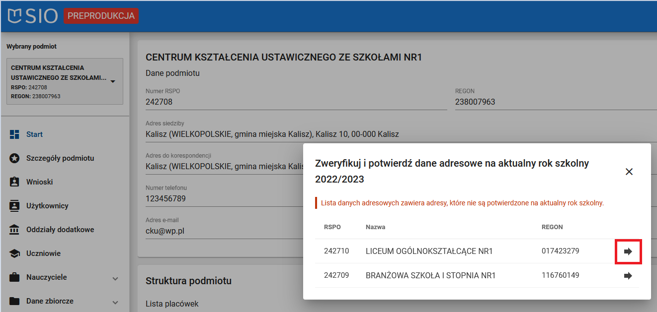 Okno z zaznaczoną opcją strzałki