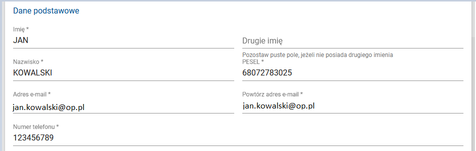 okno z zaznaczonymi polami do wypełnienia