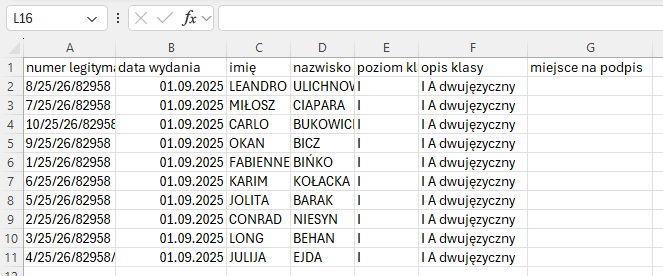 format danych w wygenerowanym pliku 